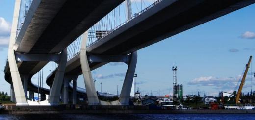 Панорама Большой Обуховский мост