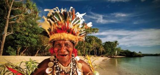 Географическое описание острова Новая Гвинея