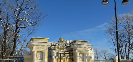 Panorama över Kamennoostrovsky-palatset